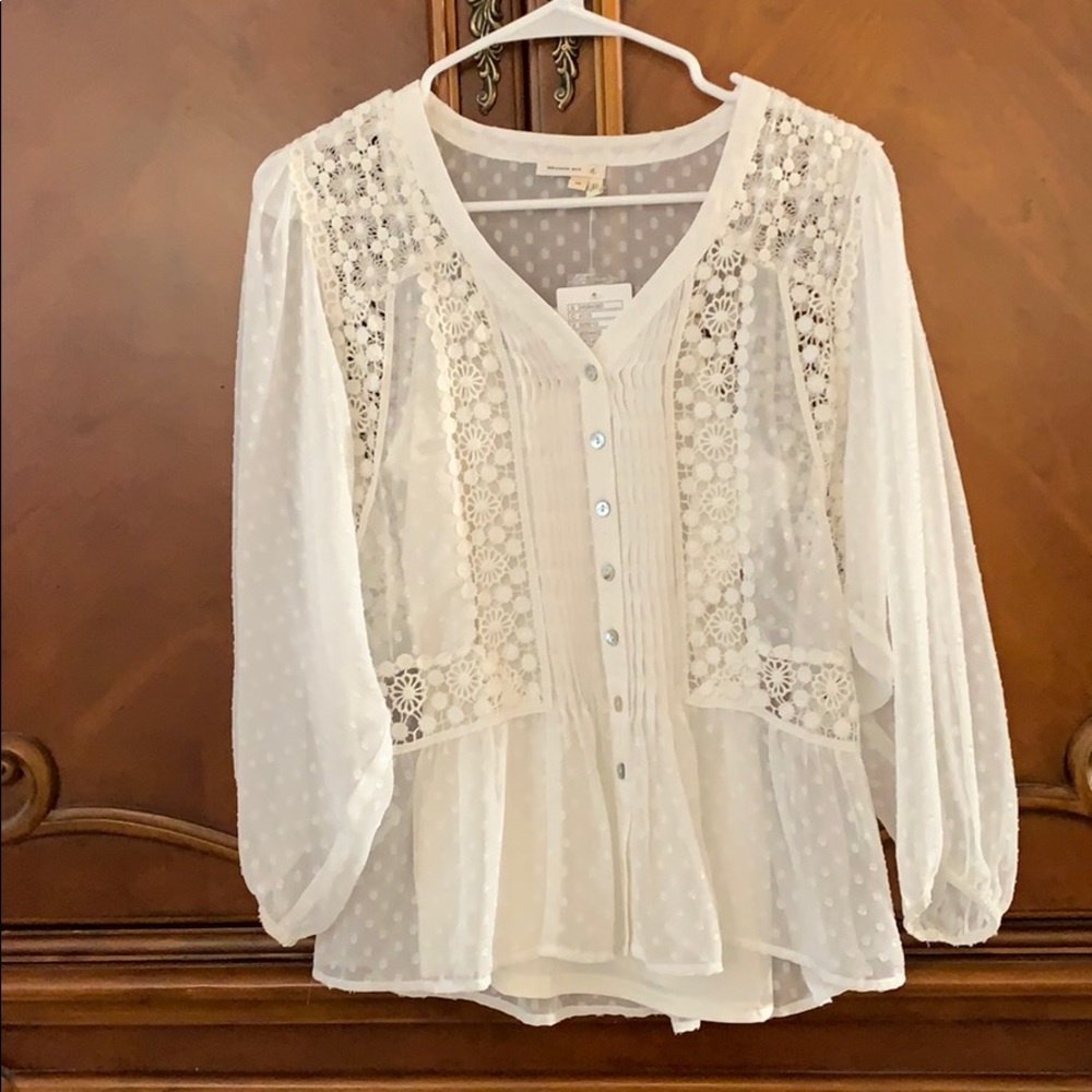 Anthropologie Sheer Blouse